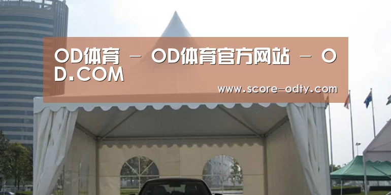 案例标题八
