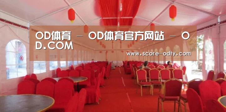 案例标题四