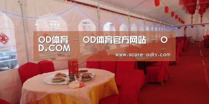 案例标题二