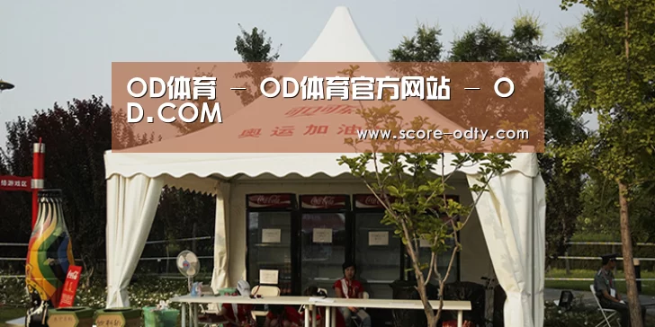 案例标题五